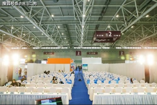 2021深圳電商展 設計重塑線上體驗，引領數字視覺浪潮